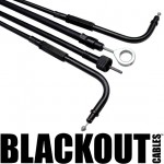 mp_blkout